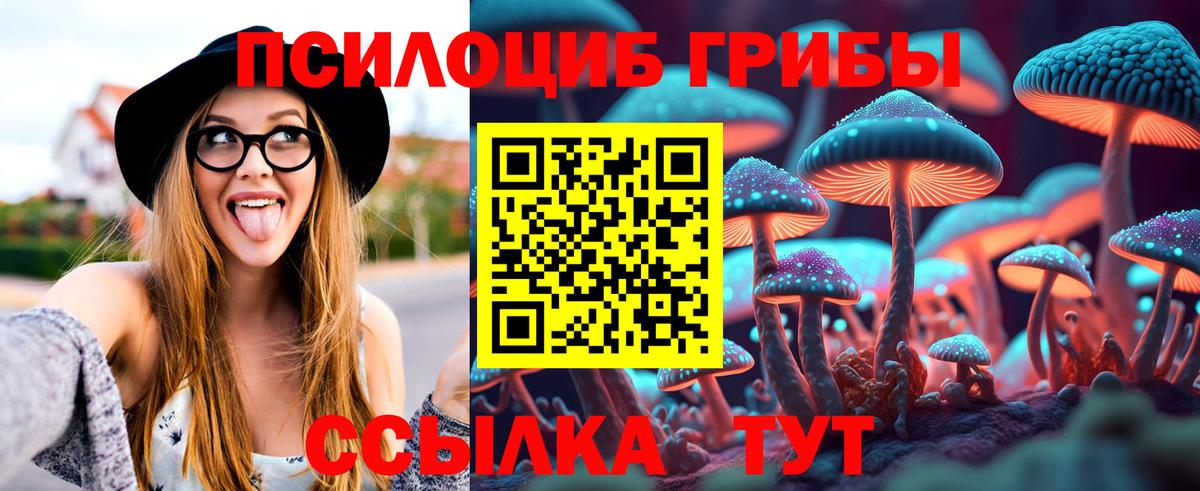 Еманжелинск  Псилоцибиновые грибы мухоморы  Вход с VPN  Галлюциногенные грибы Psilocybine cubensis 